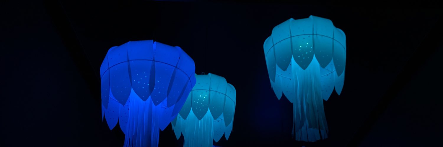 chaoticmaria banner