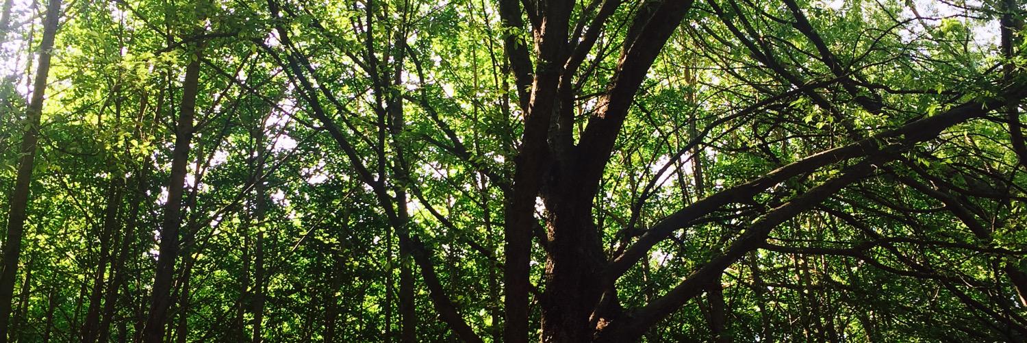 JD19900106's profile banner image