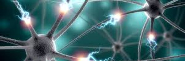 MindDeep Profile Banner