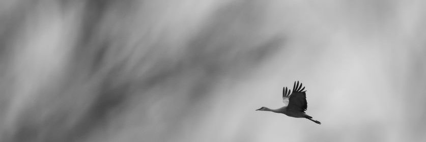 ismet_ciftci's profile banner image