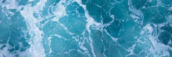 UWSponge Profile Banner