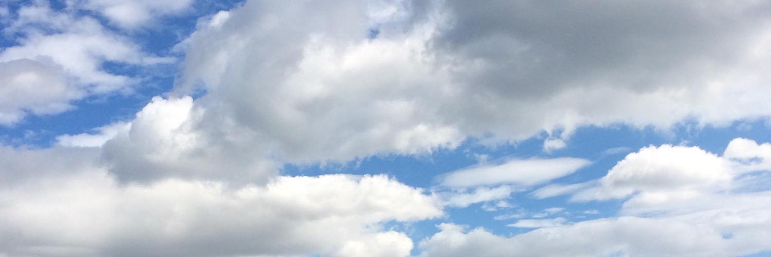 pilarvans's profile banner image