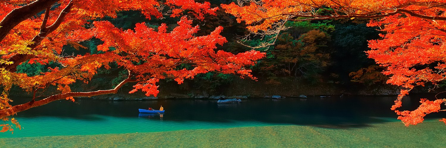 Shutterstock.JP banner