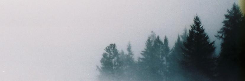 mirienedayrell's profile banner image