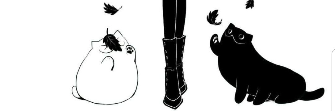 sirlointm's profile banner image