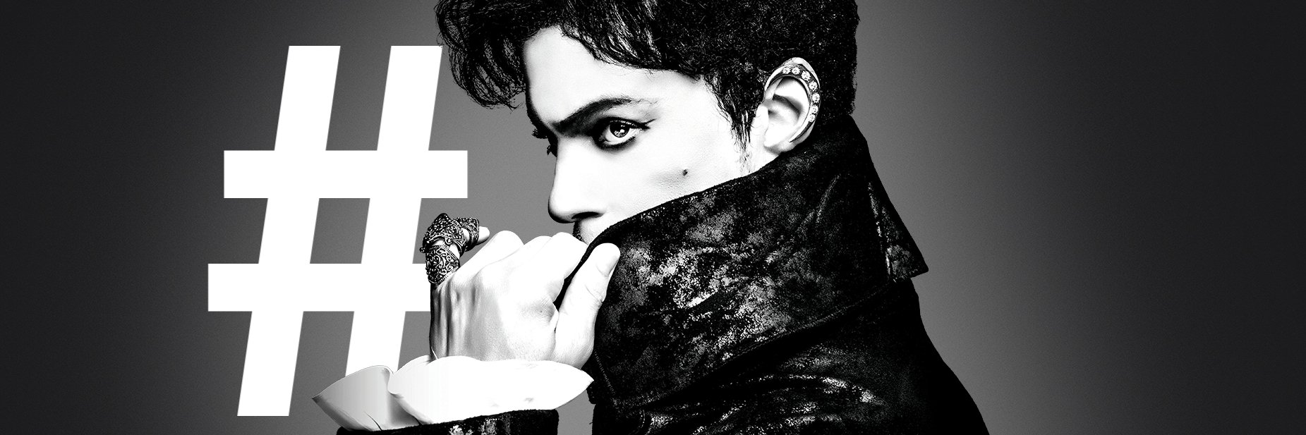 Martha Friedner banner