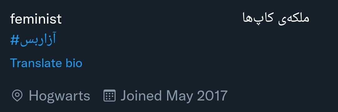 خاتون جانشونم's banner
