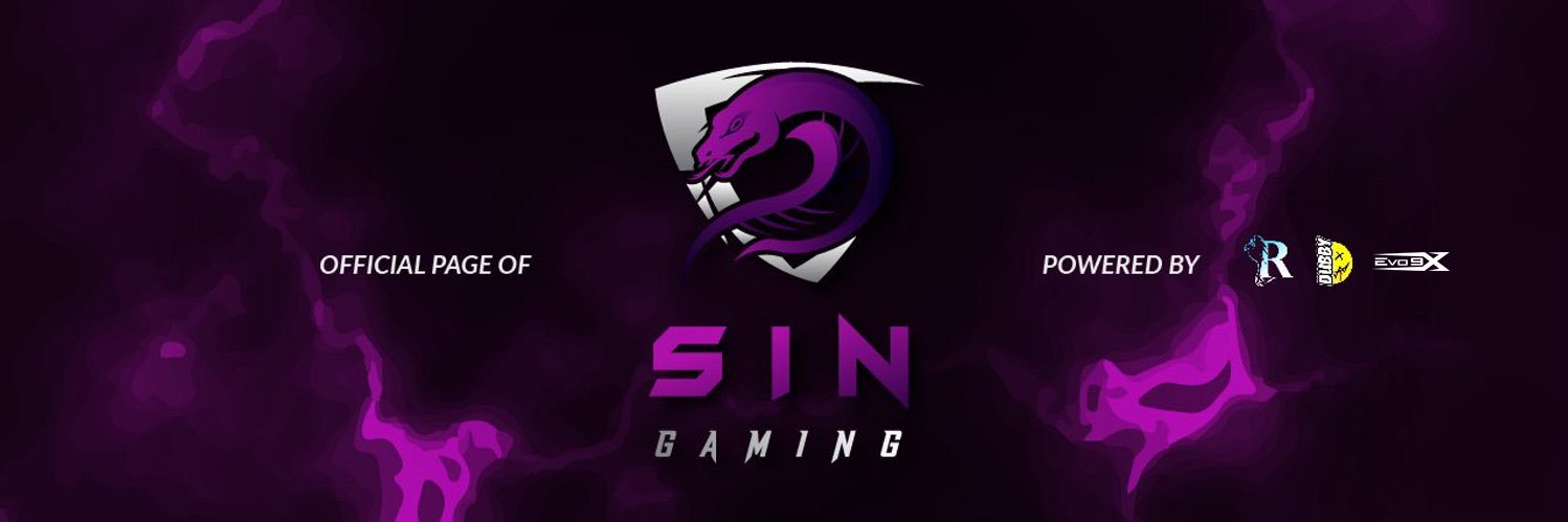 SIN Gaming's banner