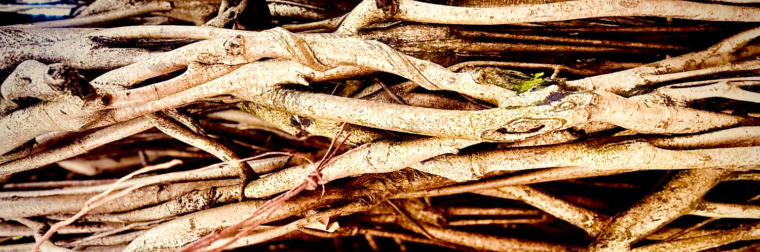 Antonio K. CCM banner