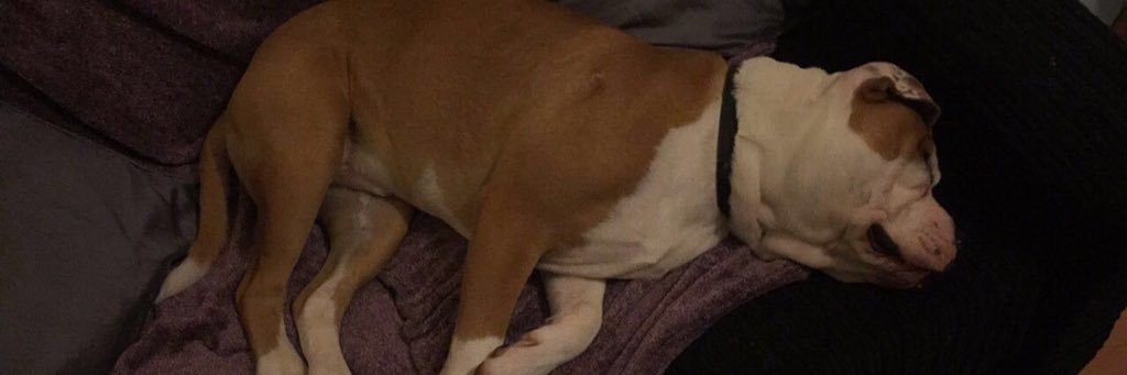 Kevin Baguley-Dye banner