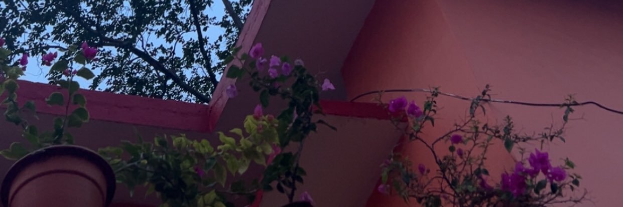Smriti Singh banner