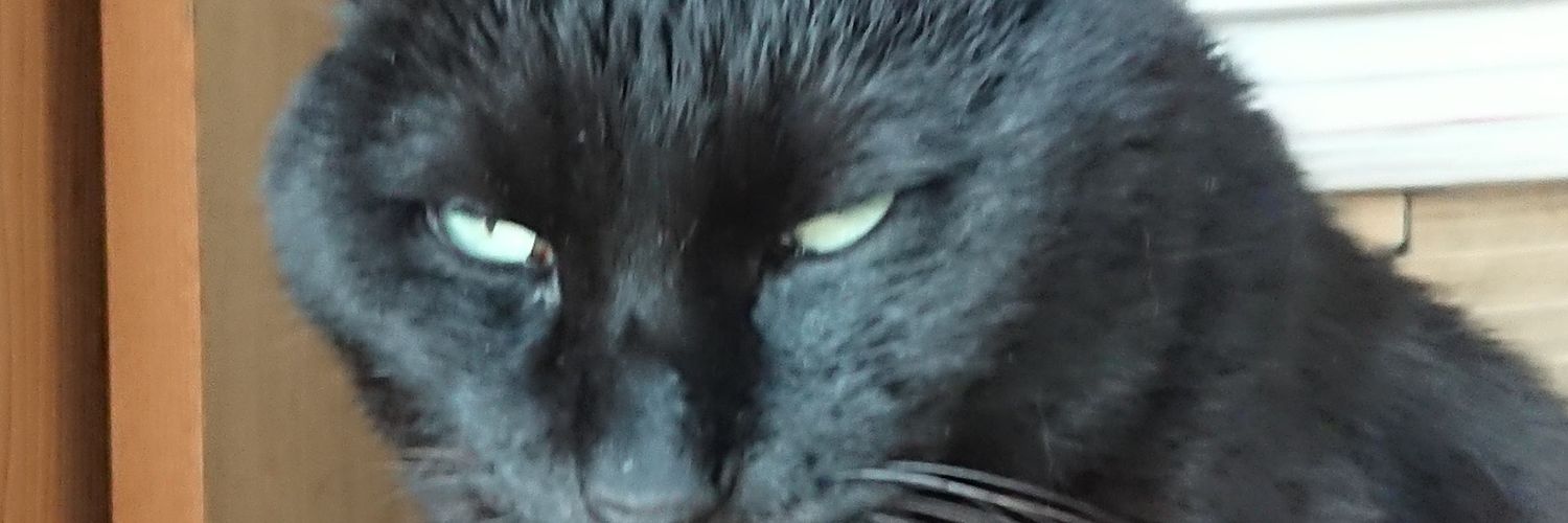 brobrobrons's profile banner image