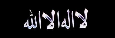 veysel bora banner