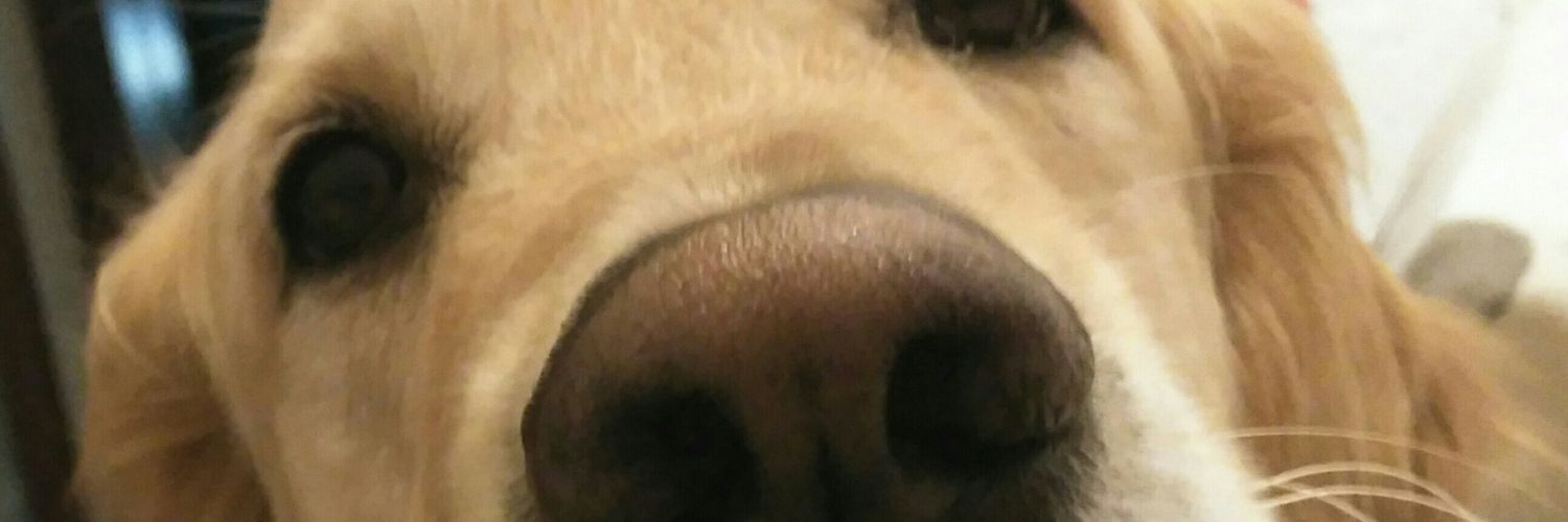 winneytv's profile banner image