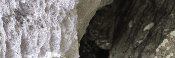 Rein11zz Profile Banner