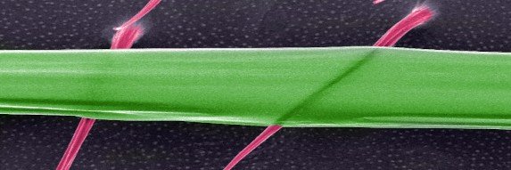 nano & biomaterials lab banner