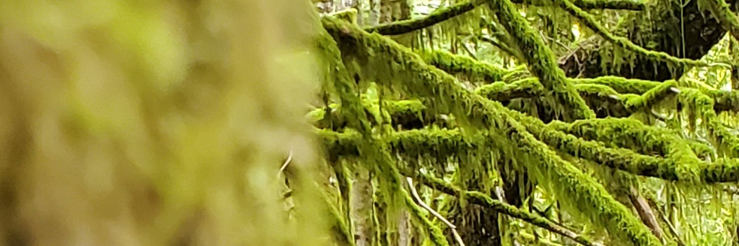 Harold the Hatter banner