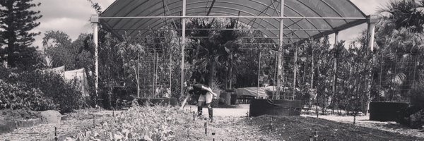 jlieu Profile Banner