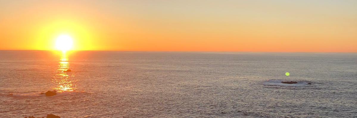 RLRosi's profile banner image