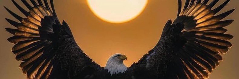 Indonesia💝🇮🇩🇵🇸🇮🇷 banner