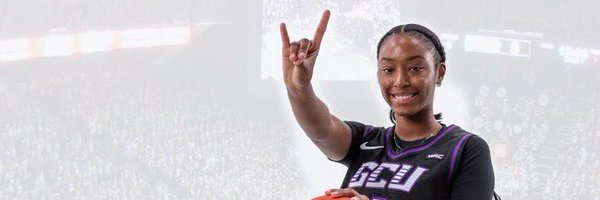 Diamondwright04 Profile Banner