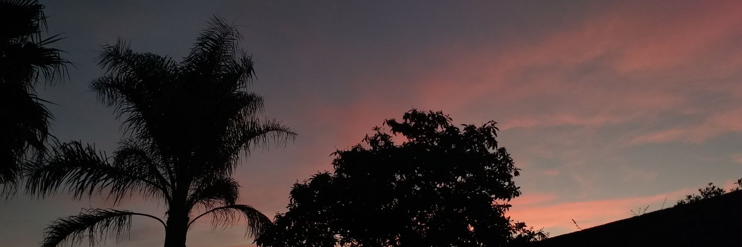 NareBaccelli's profile banner image