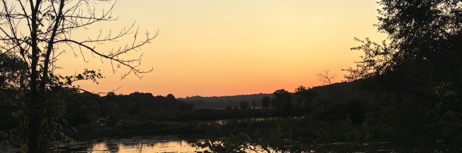 MorganDynda's profile banner image