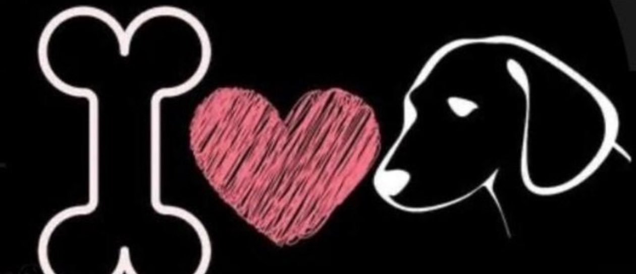 knottyyychoe's profile banner image