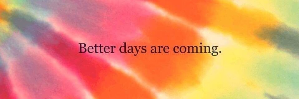 emilybinis's profile banner image