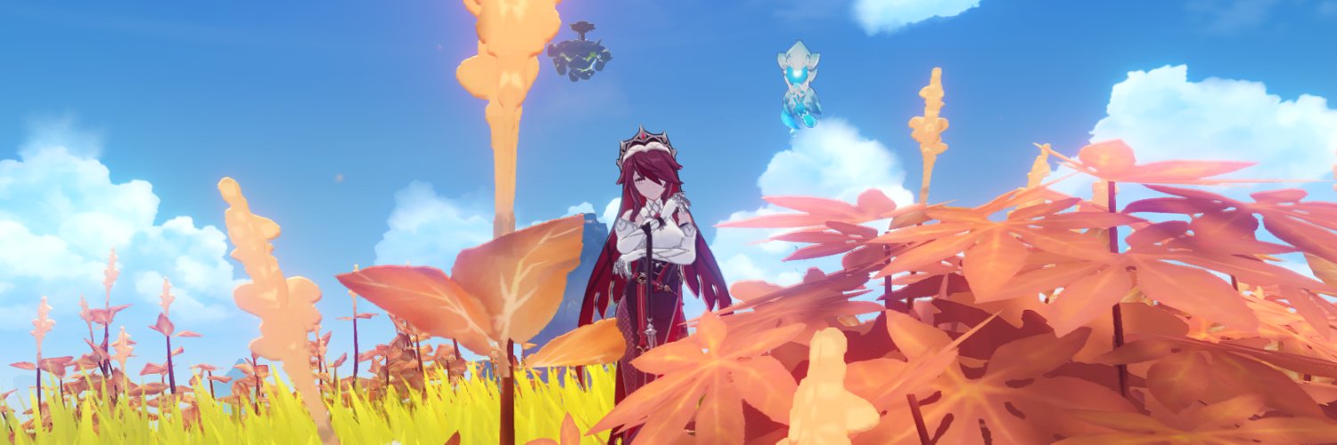 vandi banner