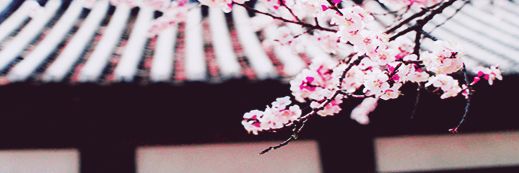 estllfr's profile banner image