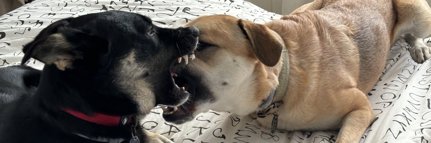 Josep Franch Nadal banner