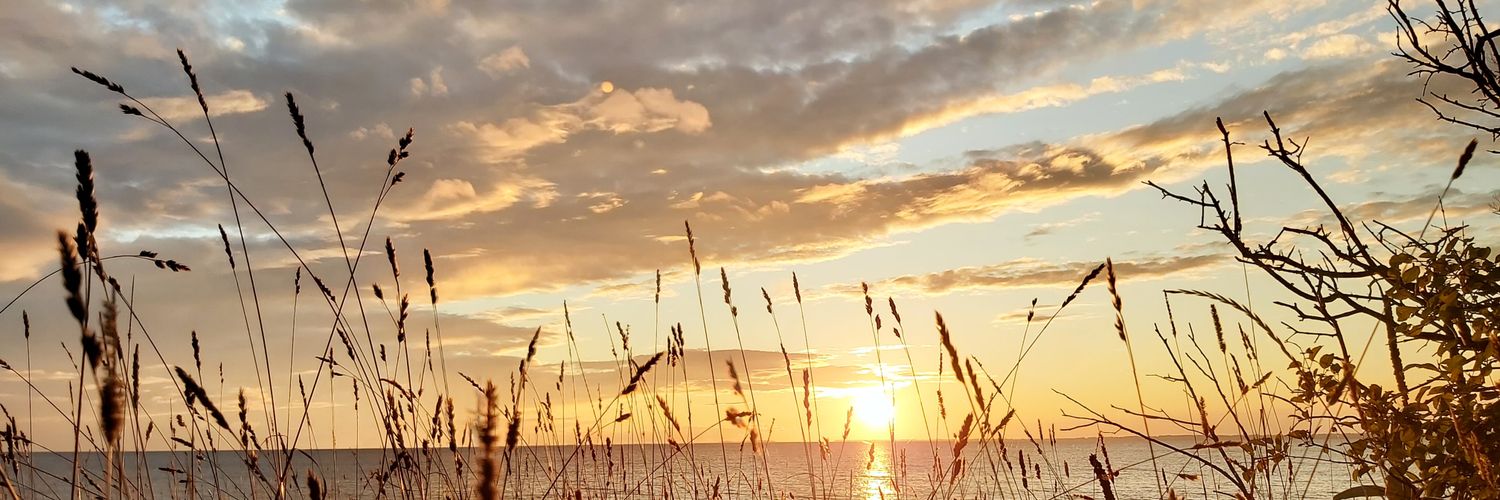 HHanwell, PhD MPH MSc banner