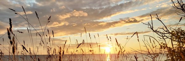 DrHanwell Profile Banner