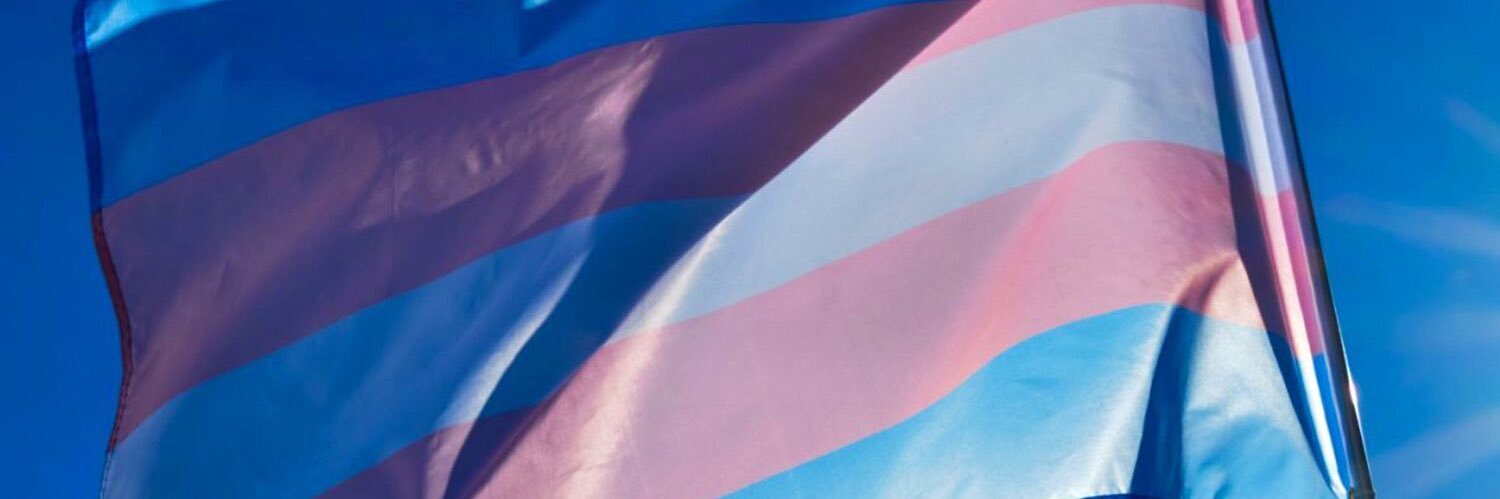 clip5🏳️‍⚧️ banner