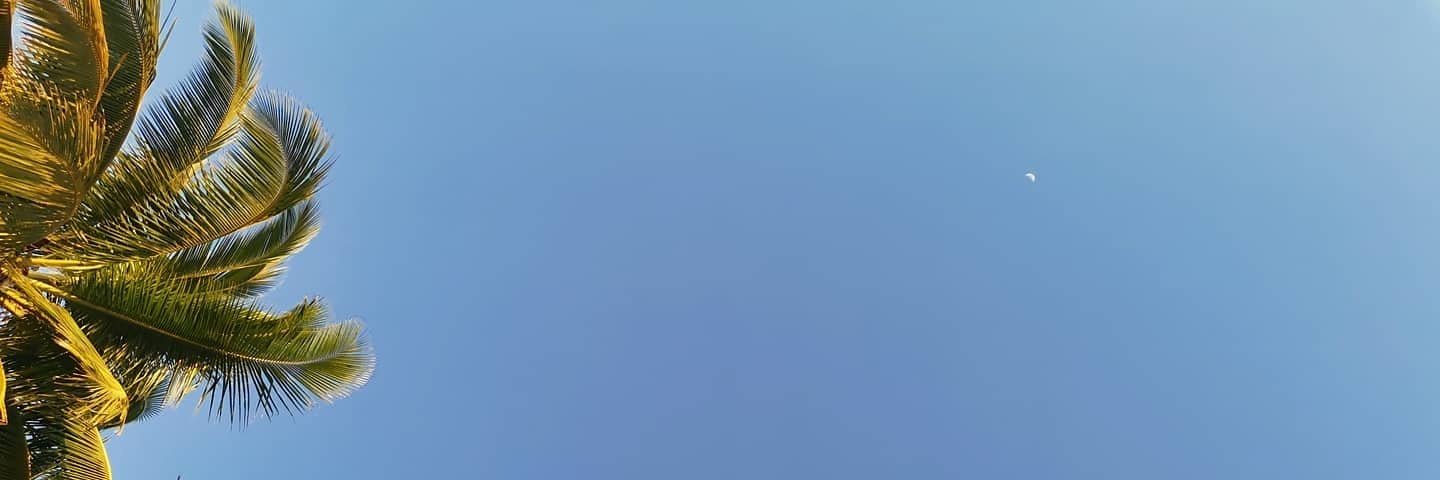 jossylaprade's profile banner image