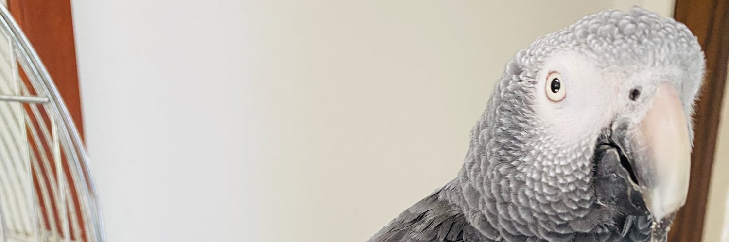msarreon's profile banner image