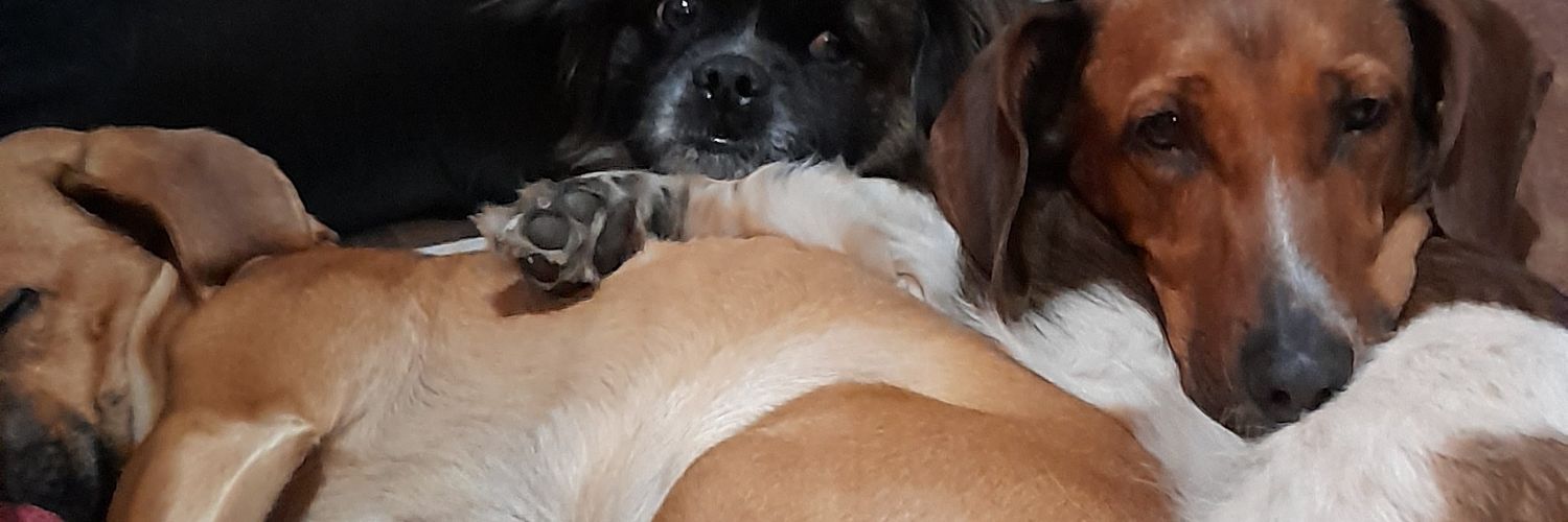 gilastru's profile banner image