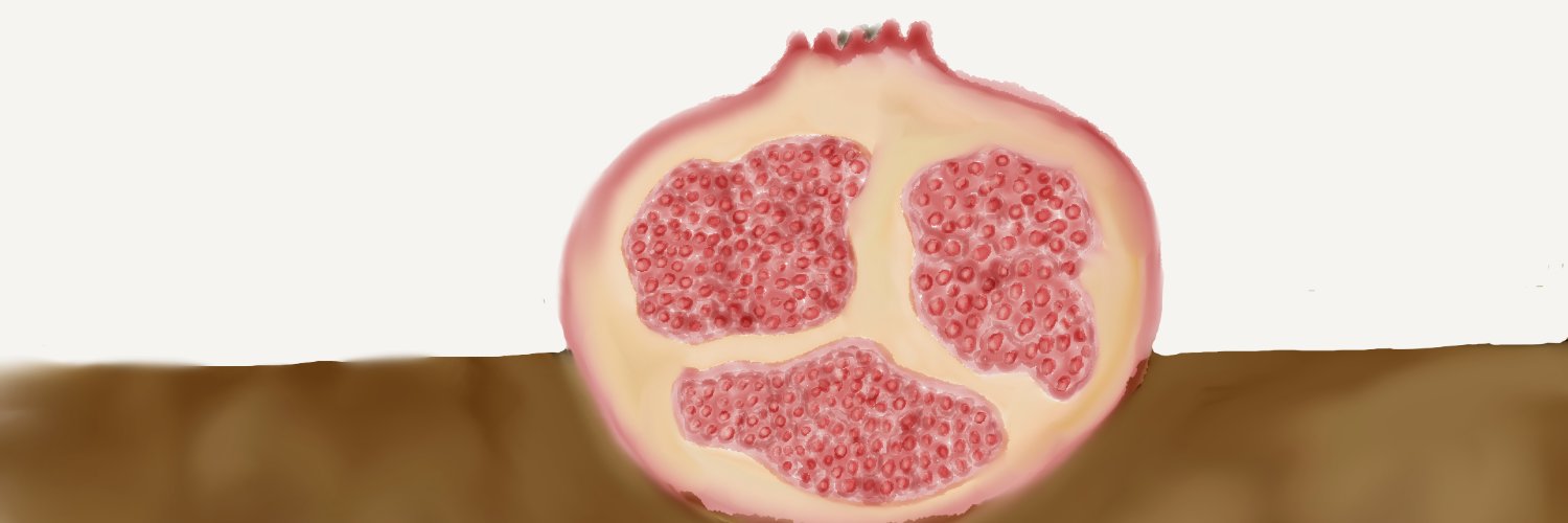ericnovik's profile banner image