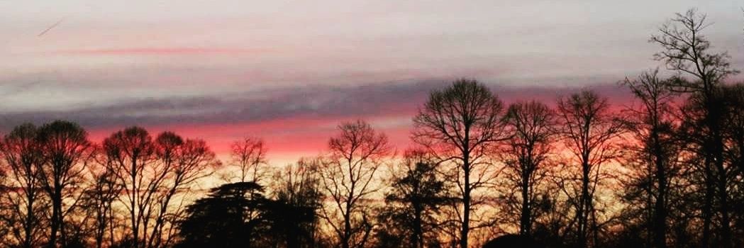 thania23's profile banner image
