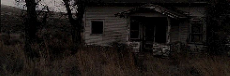 Sil's banner