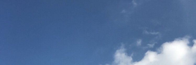 lfernandasierra's profile banner image
