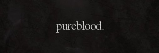 PureBlood_Lion's profile banner image