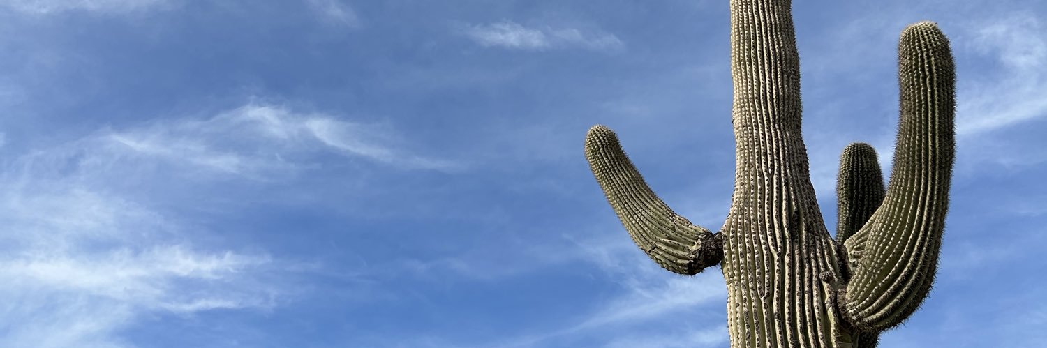 Addie banner