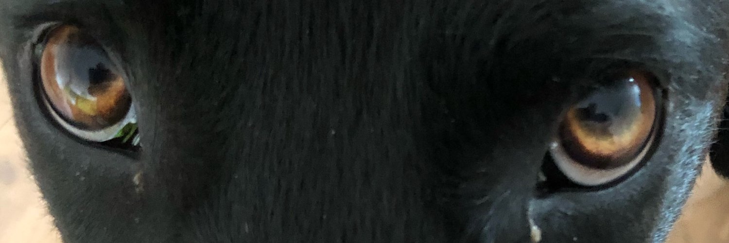 !d@mm1n9 🎗️ banner