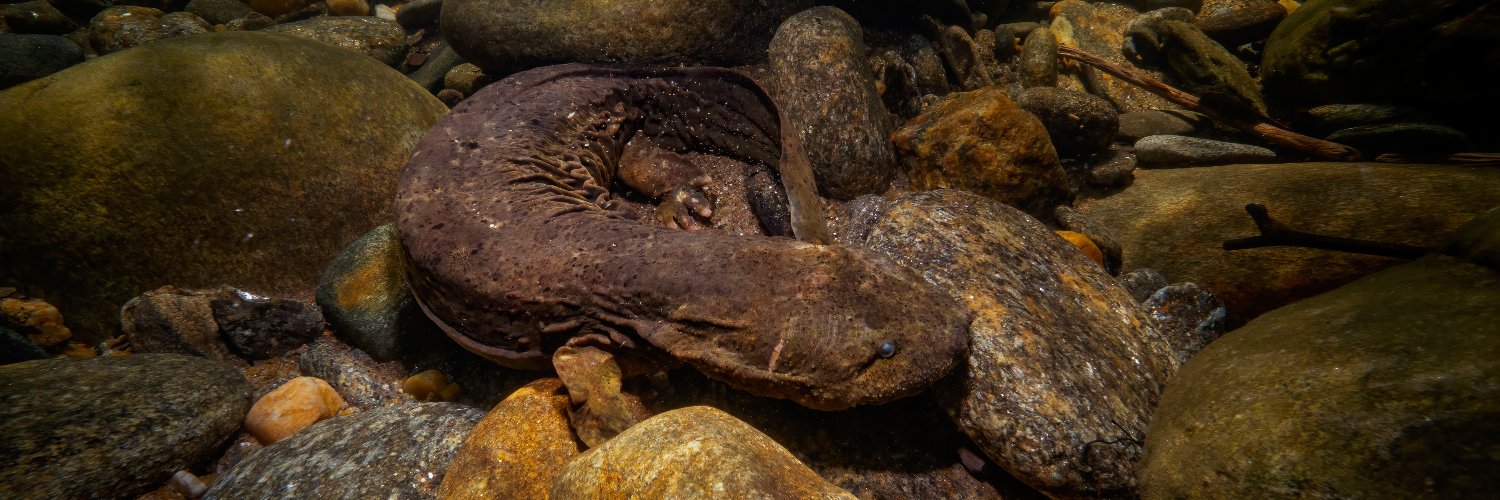 Hellbent - Film banner