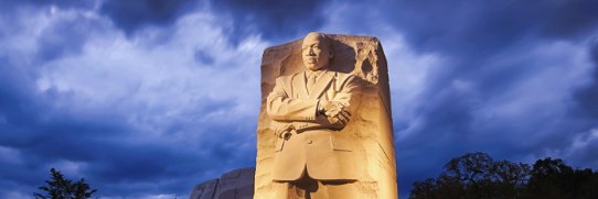 Staci Pippin-Kottkamp banner