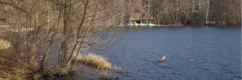 Info-Barnim.de banner