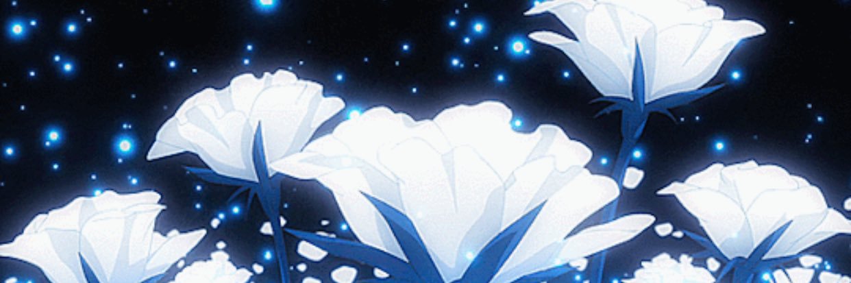 ArcticEx's profile banner image