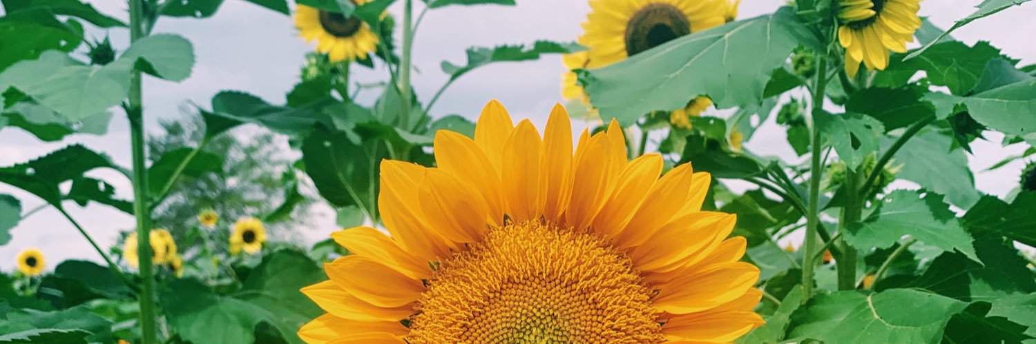 vbjasminee's profile banner image